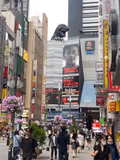 One day tour in Tokyo - 1