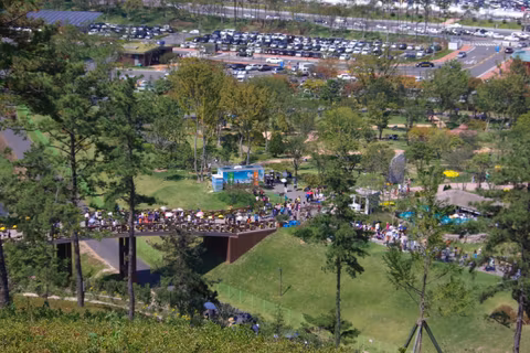 Yeosu & Suncheon National Garden Private Tourcover image