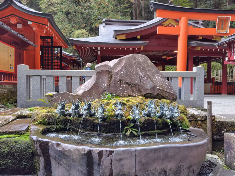 Shizuoka Private Tour - Spring water from the nine-headed dragon