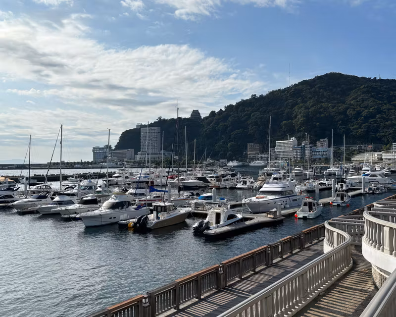 Tokyo Private Tour - 
