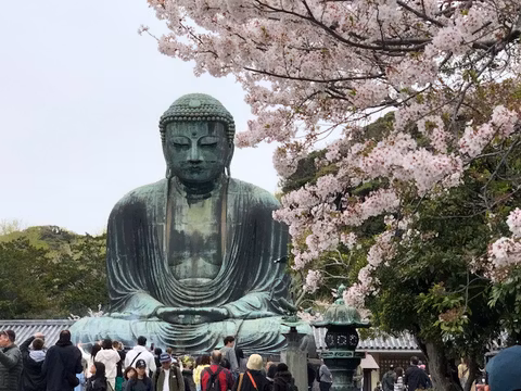 Highlights of Kamakura Customized as you like