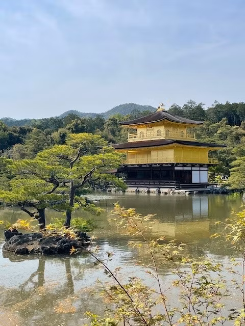 Gifu Private Tour - Kinkakuji Pavilion