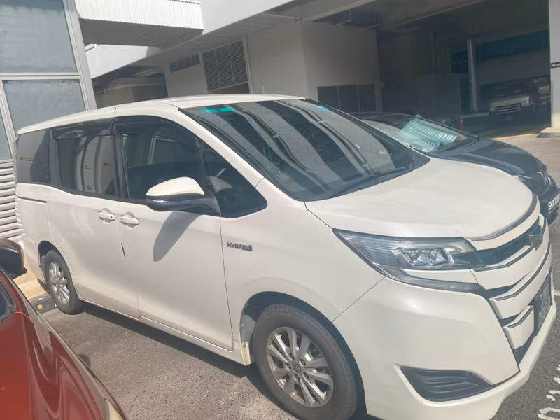 Singapore Private Tour - Luxury car