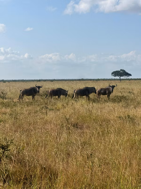 Arusha Private Tour - 