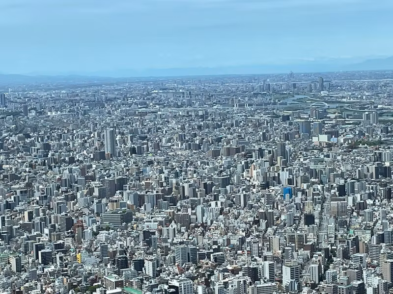 Tokyo Private Tour - O1. Tokyo Sky Tree (from the observatory at 350 m)