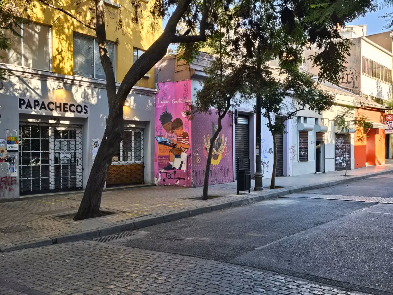 Santiago Private Tour - Lastarria Street