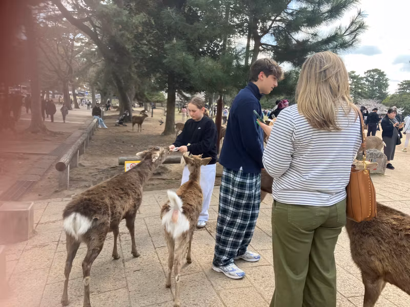 Nara Private Tour - 