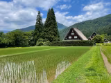 Explore UNESCO World Heritage Site of Shirakawa-go a Former Shirakawa-go School Teacher - 1