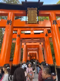 Kyoto Full Day Private Tour - 1