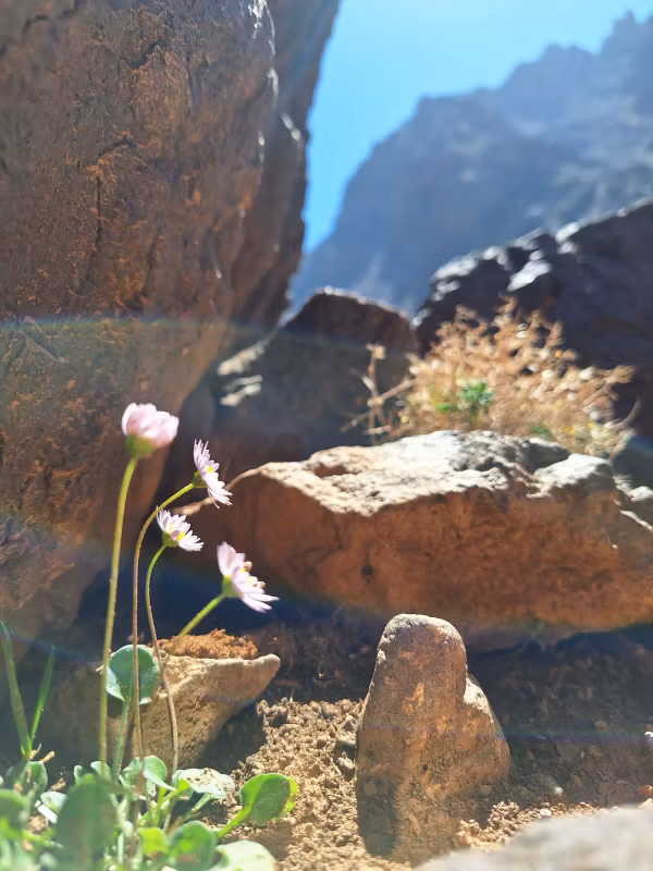 Ouarzazate Private Tour - 
