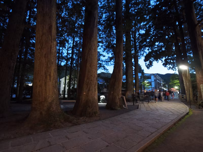 Mount Koya Private Tour - 