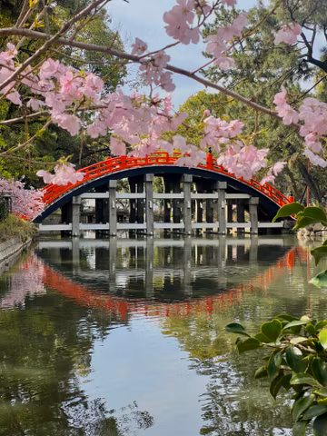 Osaka : Sumiyoshi Taisha, Sakai and Tea Ceremonycover image