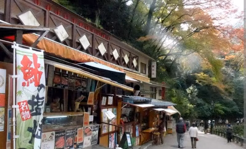 Osaka Private Tour - Minoh park