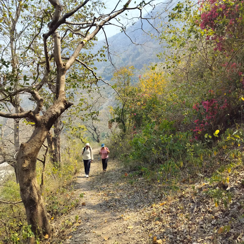 Rishikesh Private Tour - walk along the gange
