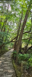 Ueno & Narita: Shinshoji Temple and traditional Narita town - 1