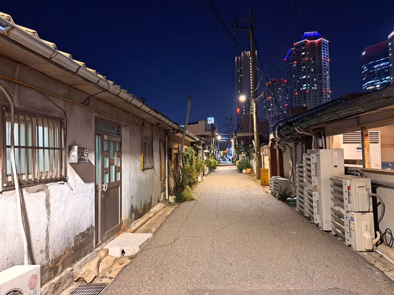 Seoul Private Tour - Hangang-ro area