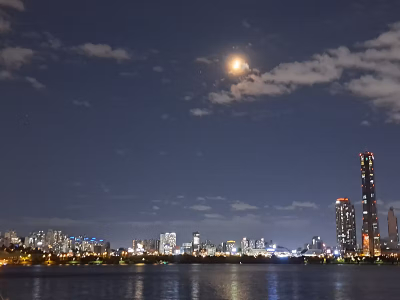 Seoul Private Tour - Han River Under the Moon