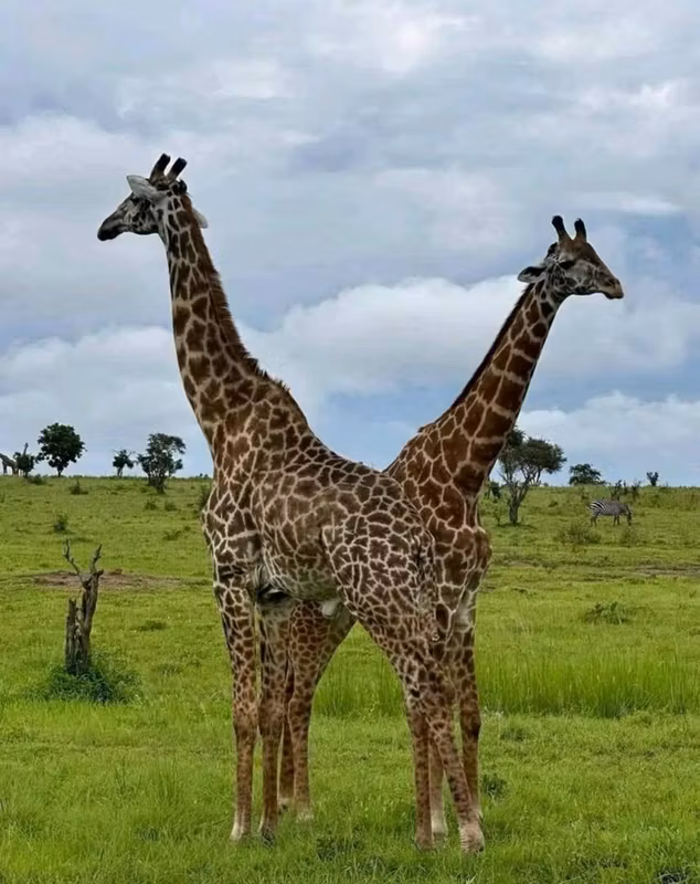 Tanga Private Tour - 