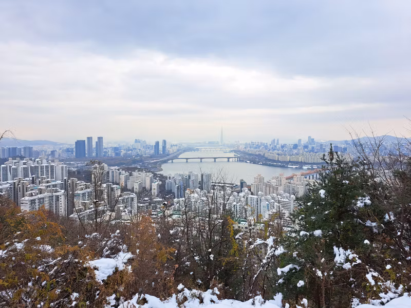 Seoul Private Tour - a view from the top of the hill