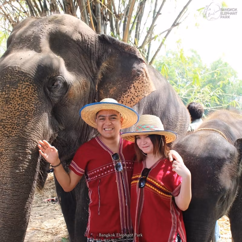 Bangkok Private Tour - A couples shot with elephant