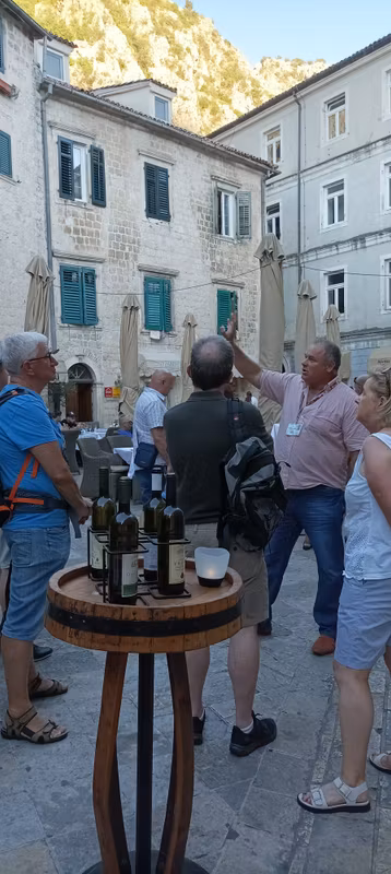 Herceg Novi Private Tour - 