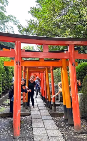 Tokyo Tailored: Your Perfect 7-Hour Adventure with Lilycover image