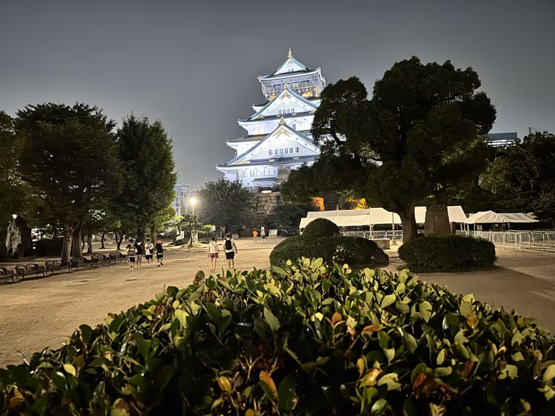 Osaka Private Tour - frontal view_night