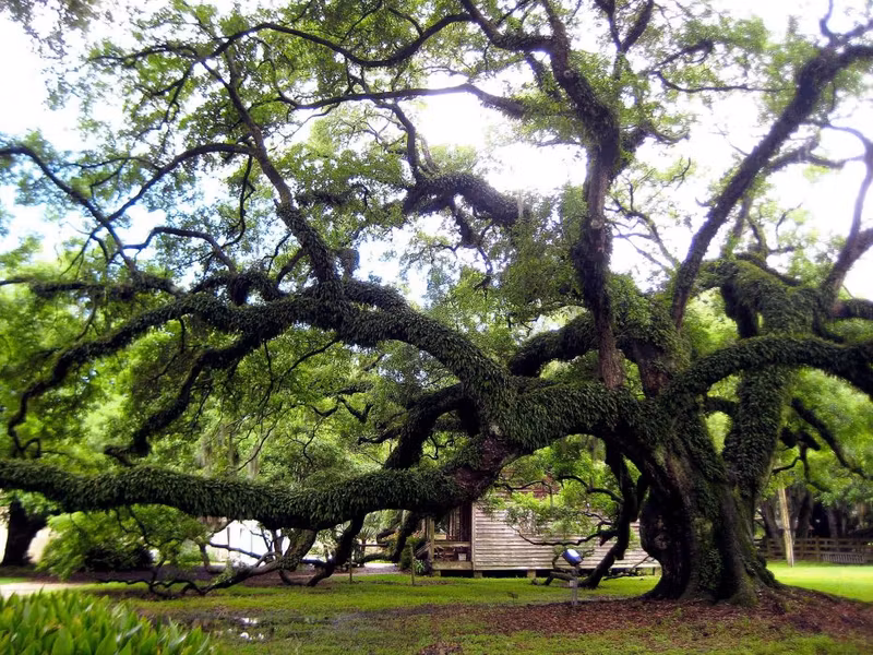 New Orleans Private Tour - 