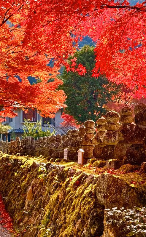 Shiga Private Tour - Arashino Nenbutsuji in Arashiyama