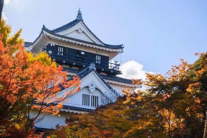Nagoya Private Tour - 