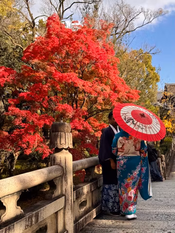 Full-Day Kyoto Private Tour!! World Heritage and Local Secrets, Just for You!cover image