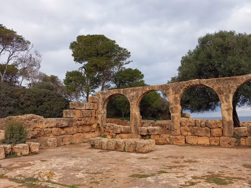 Algiers Private Tour - Tipaza roman ruins site