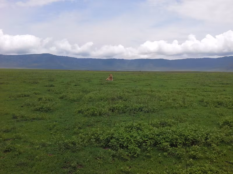 Moshi Private Tour - 