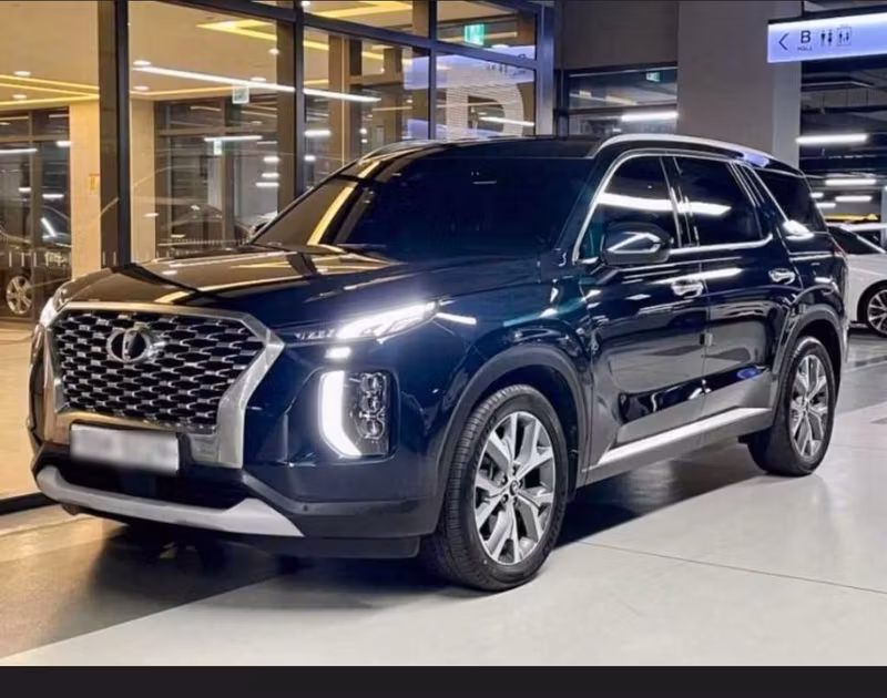 Busan Private Tour - Hyundai Palisade