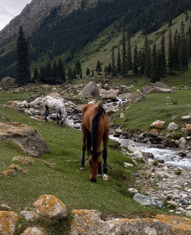 Bishkek Private Tour - Barskon Gorge