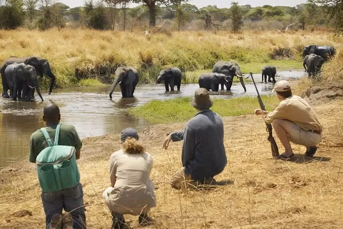 Dar es Salaam Private Tour - 