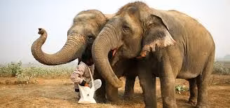 Delhi Private Tour - 